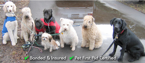 We're Bonded & Insured... and Pet First Aid Certified!